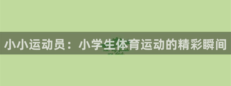沐鸣2官网平台登录