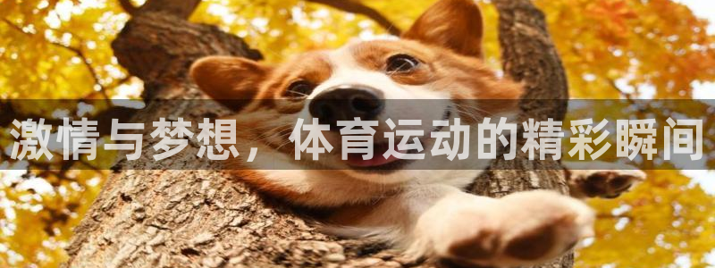 沐鸣代理