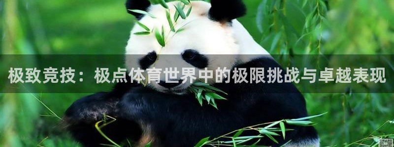 沐鸣官网