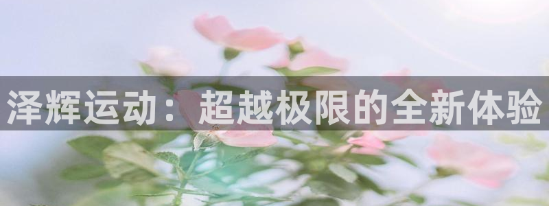 沐鸣2登录