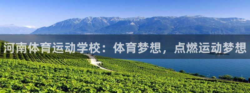 沐鸣25招商
