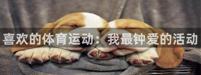 沐鸣24官网