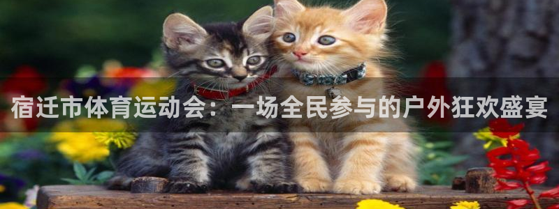 沐鸣2体育平台开号链接