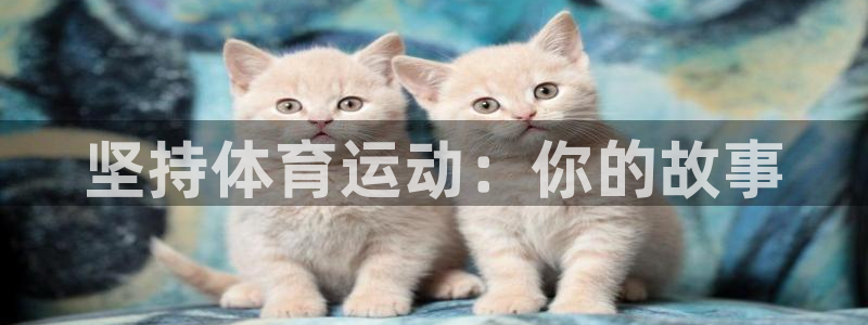 沐鸣娱乐招商