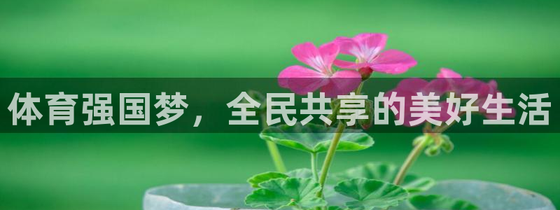 沐鸣2体育平台总代理
