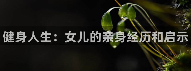 沐鸣2测速登录