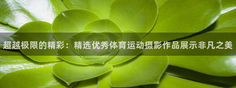沐鸣2测速登录