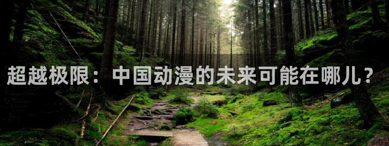 成都沐鸣2电子有限公司