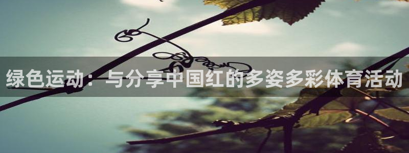 ii博导登录入口