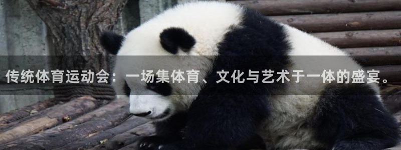 沐鸣2包怎么样