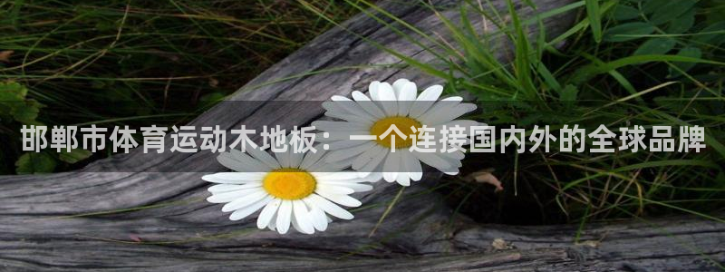 沐鸣24登录