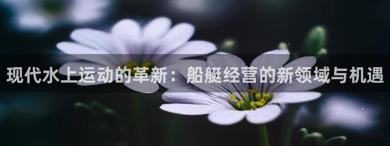 沐鸣2体育官网入口登录