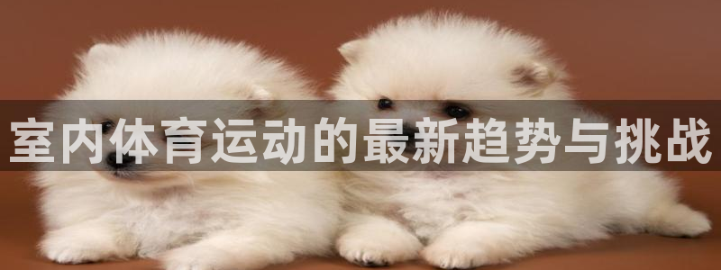沐鸣25招商