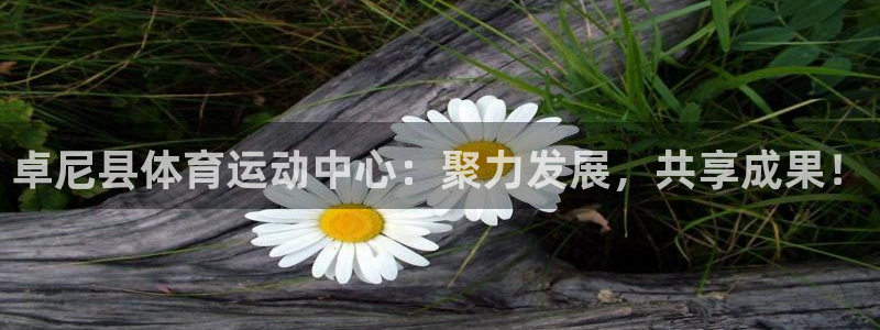 沐鸣2体育和杏耀是哪个公司的
