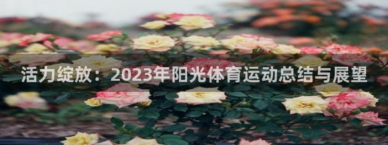 沐鸣23登陆