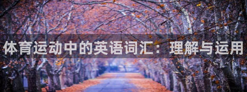 沐鸣2主管