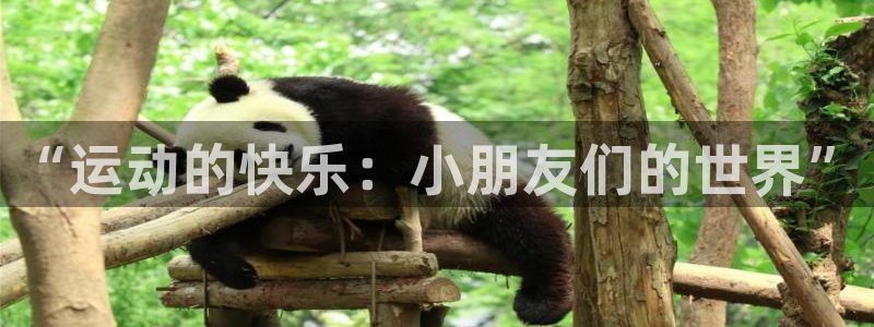 沐鸣24开户