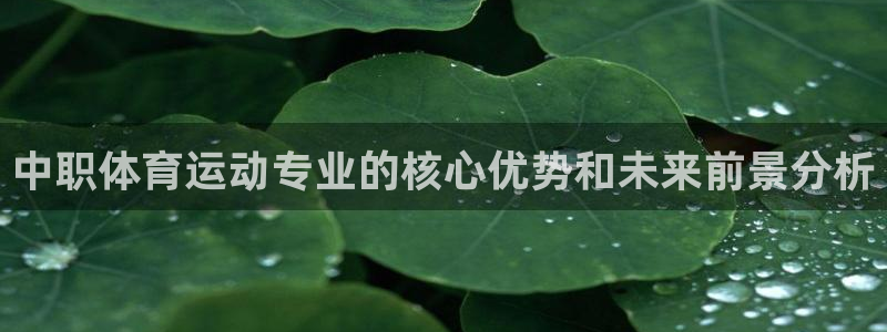 鸣潮网页版登录入口